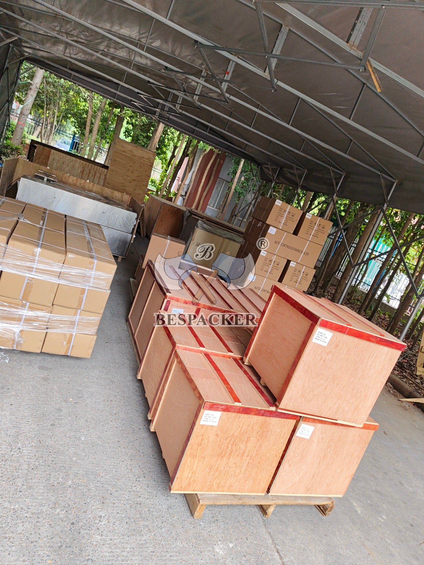 Bespacker Packaging Machinery Equipment Co., Ltd.