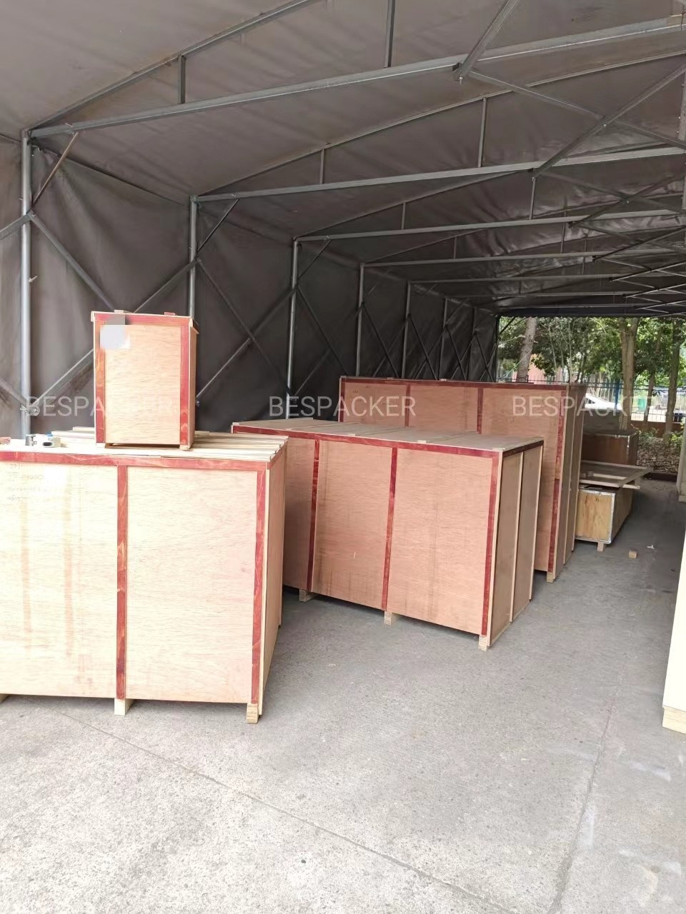 Bespacker Packaging Machinery Equipment Co., Ltd.