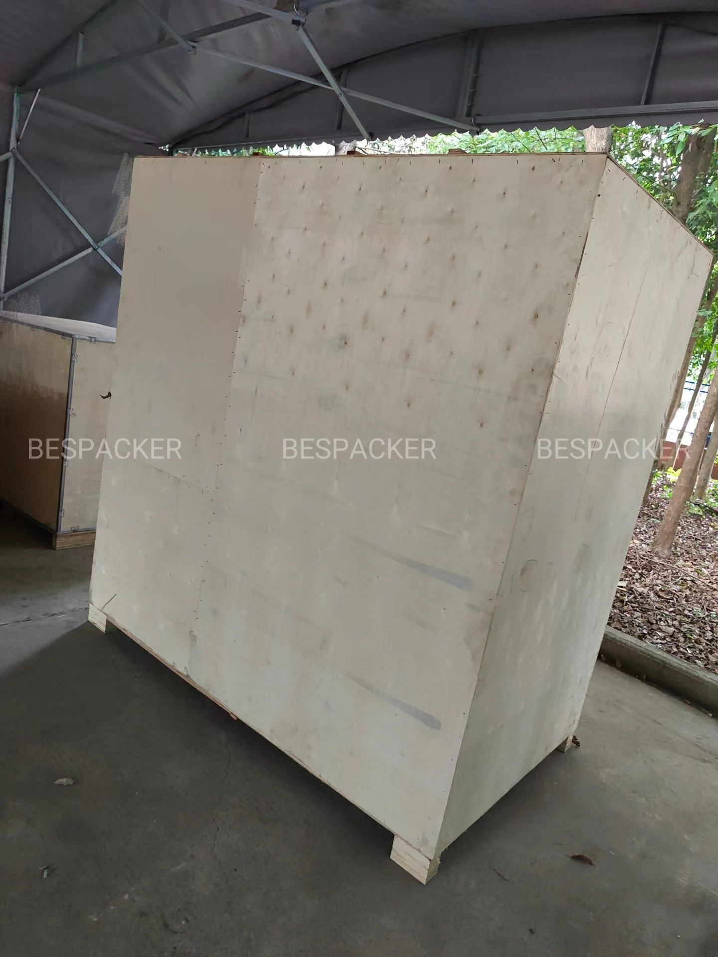 Bespacker Packaging Machinery Equipment Co., Ltd.