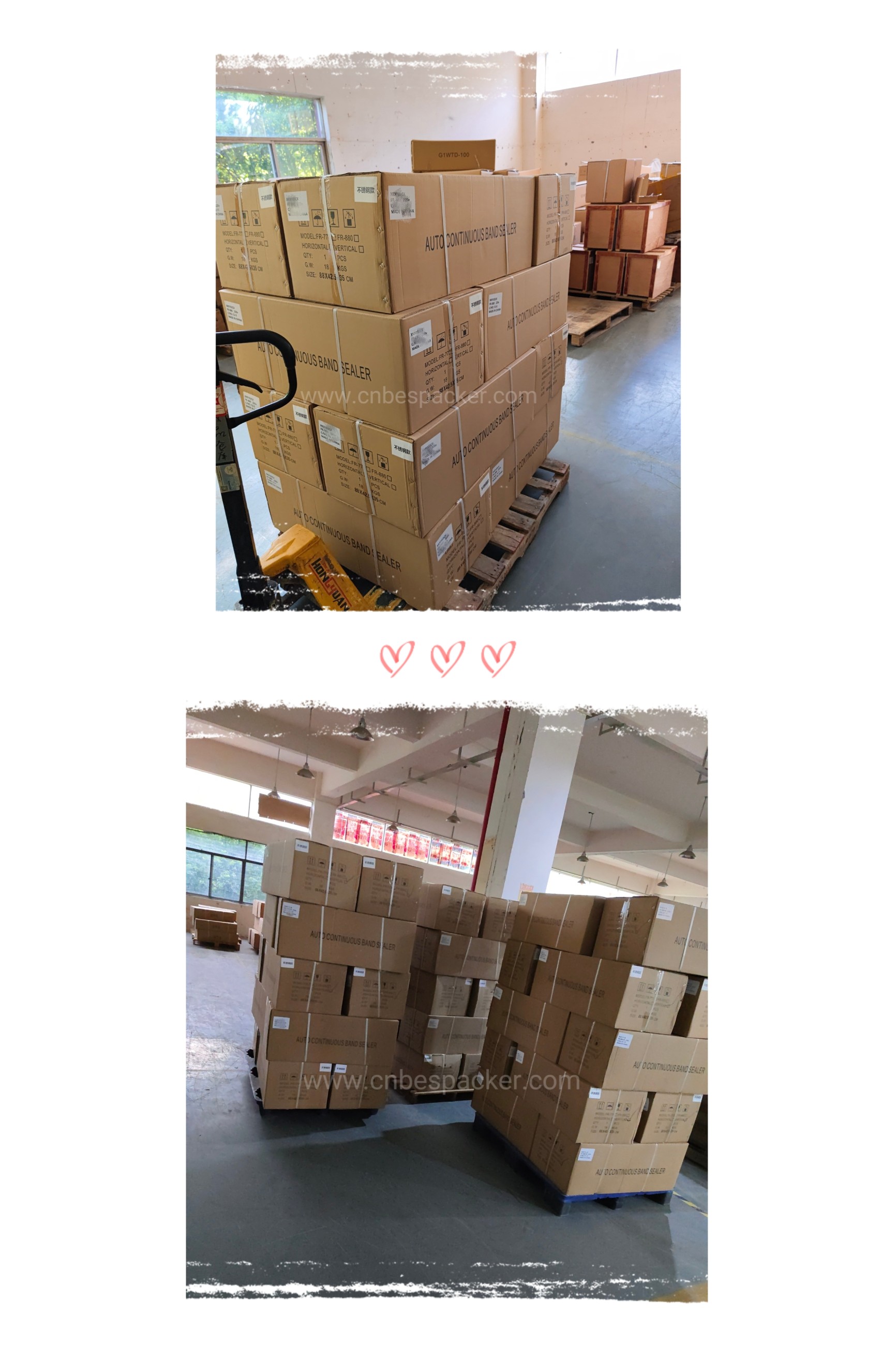 Bespacker Packaging Machinery Equipment Co., Ltd.