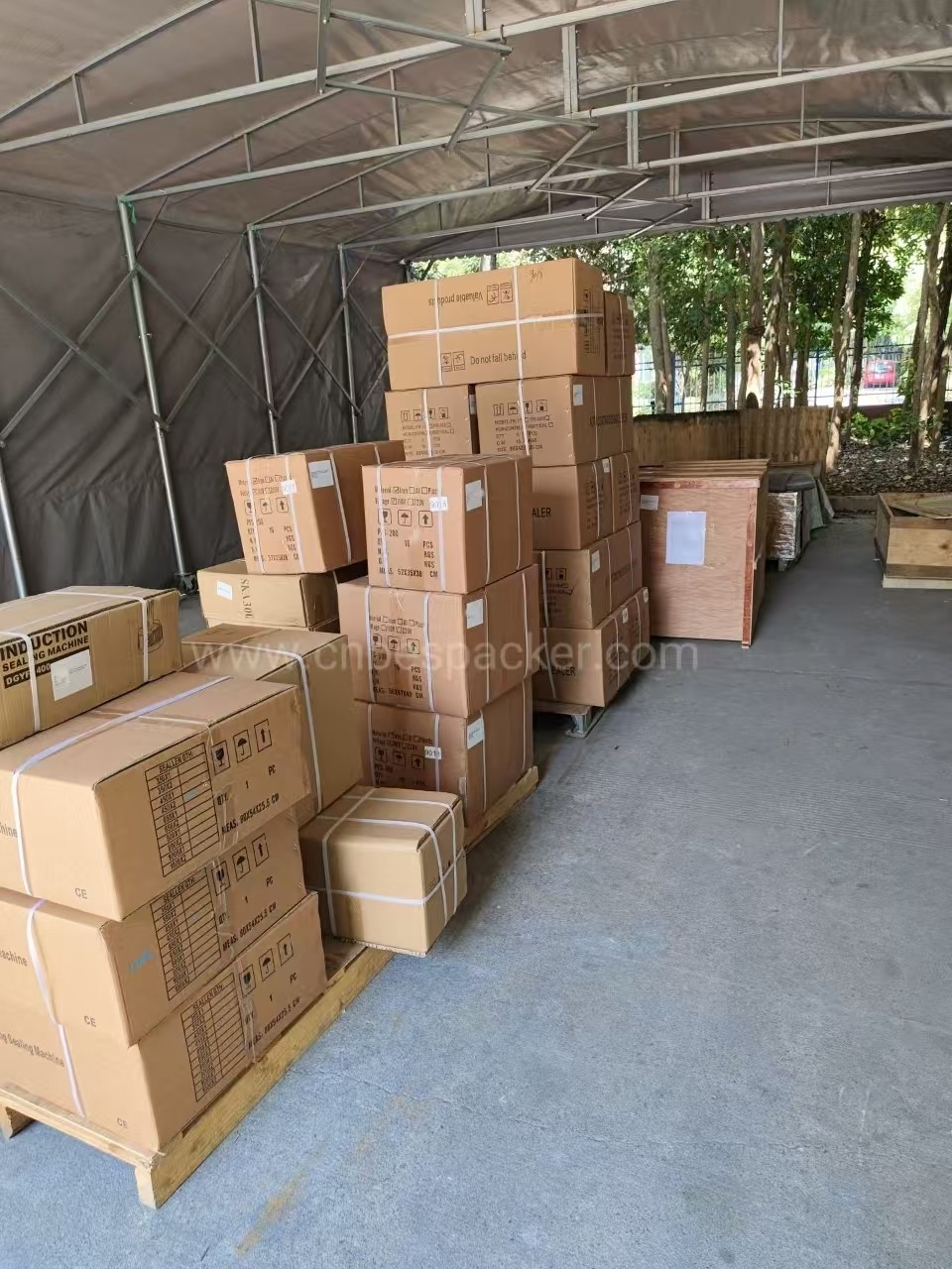 Bespacker Packaging Machinery Equipment Co., Ltd.