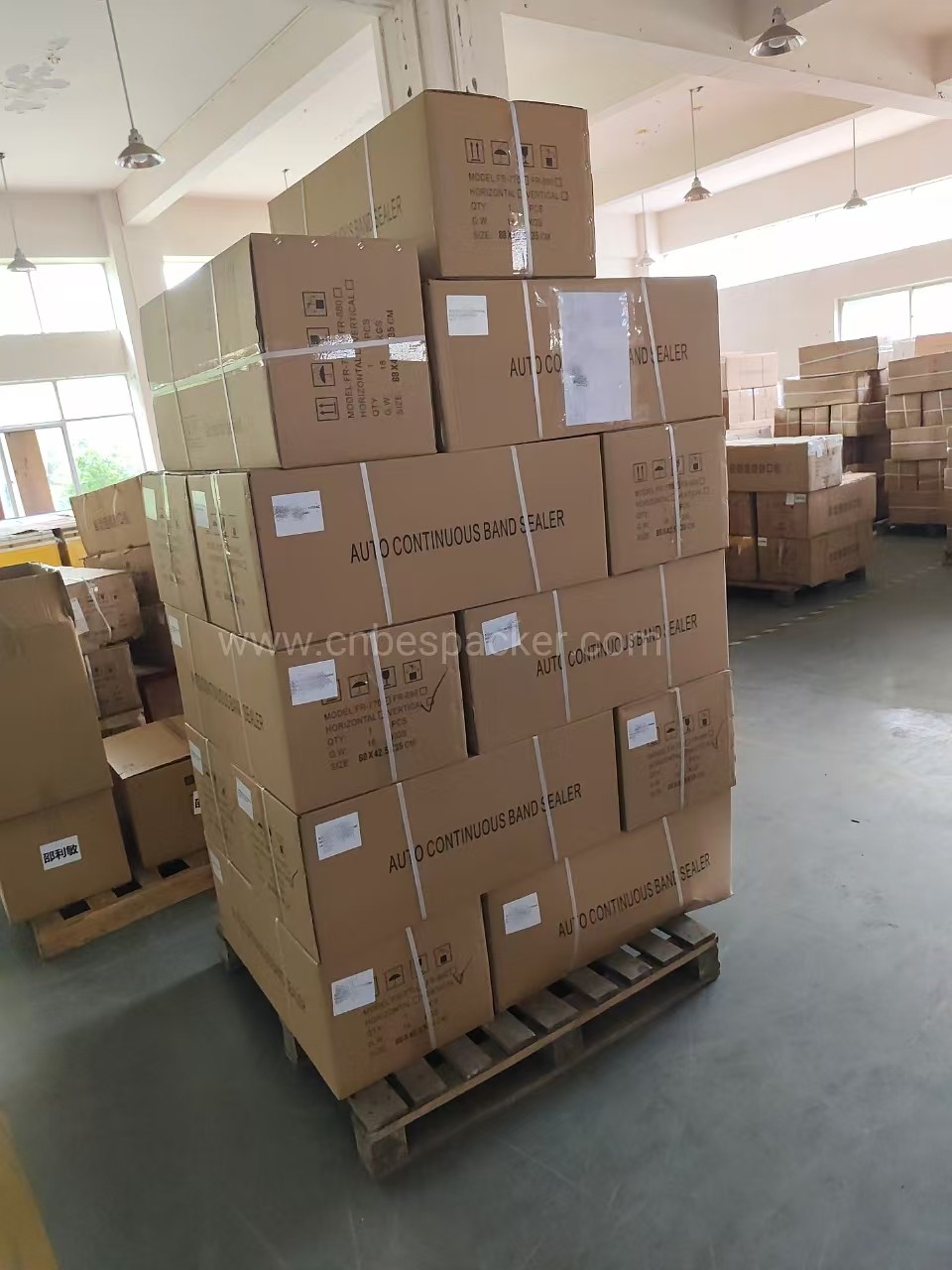 Bespacker Packaging Machinery Equipment Co., Ltd.