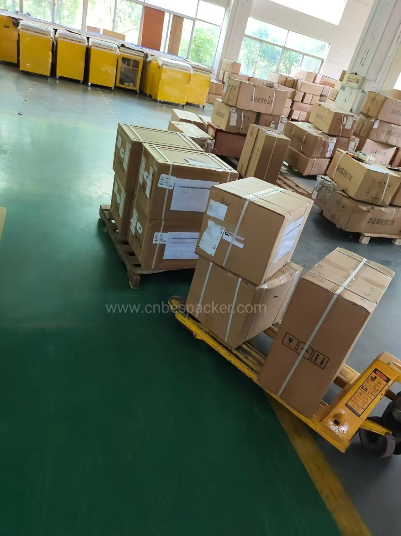Bespacker Packaging Machinery Equipment Co., Ltd.