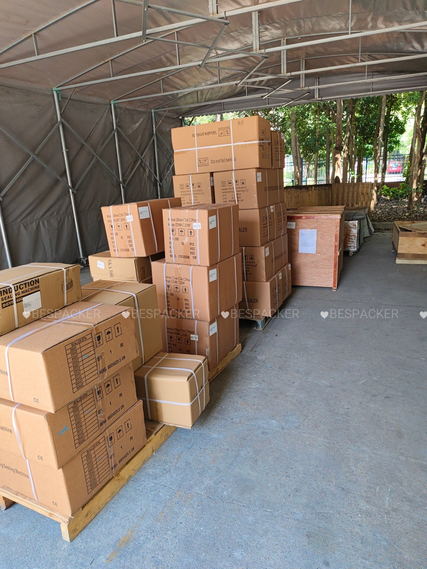 Bespacker Packaging Machinery Equipment Co., Ltd.