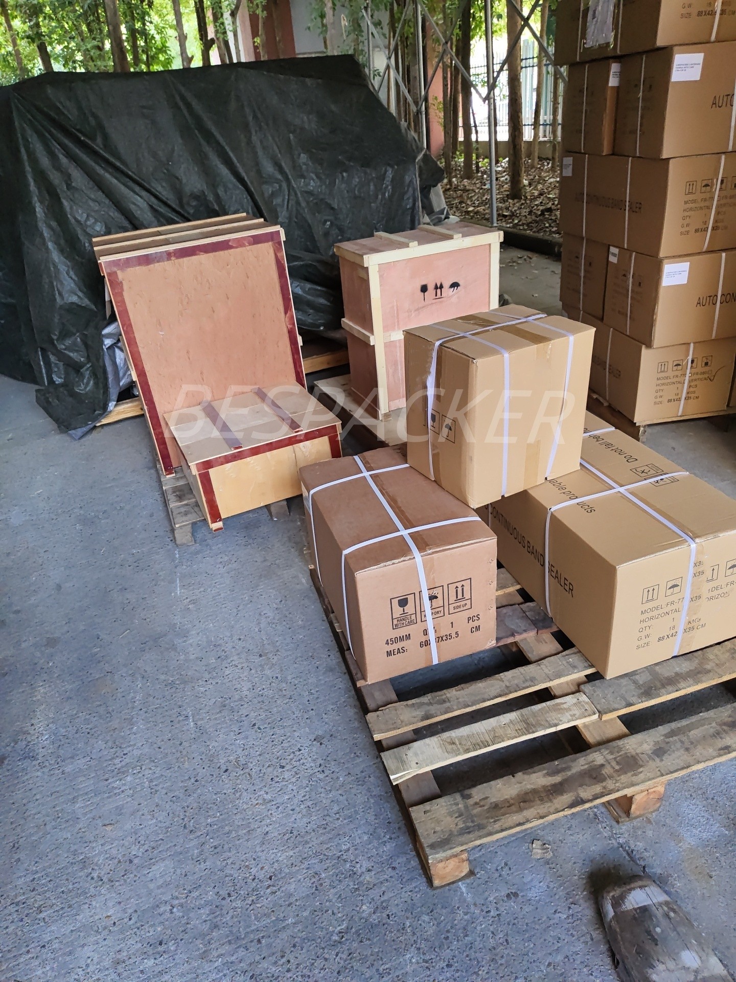 Bespacker Packaging Machinery Equipment Co., Ltd.
