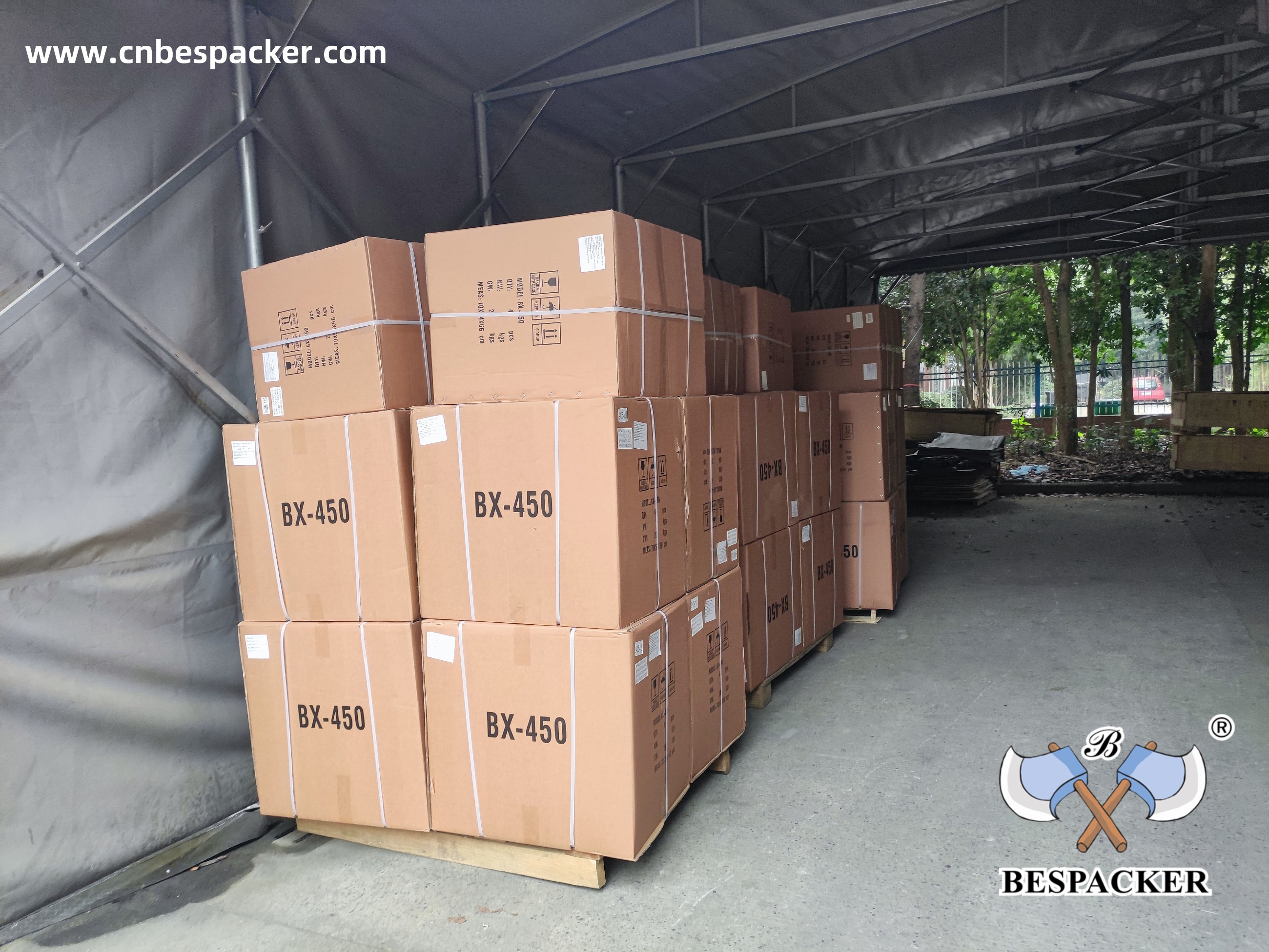 Bespacker Packaging Machinery Equipment Co., Ltd.
