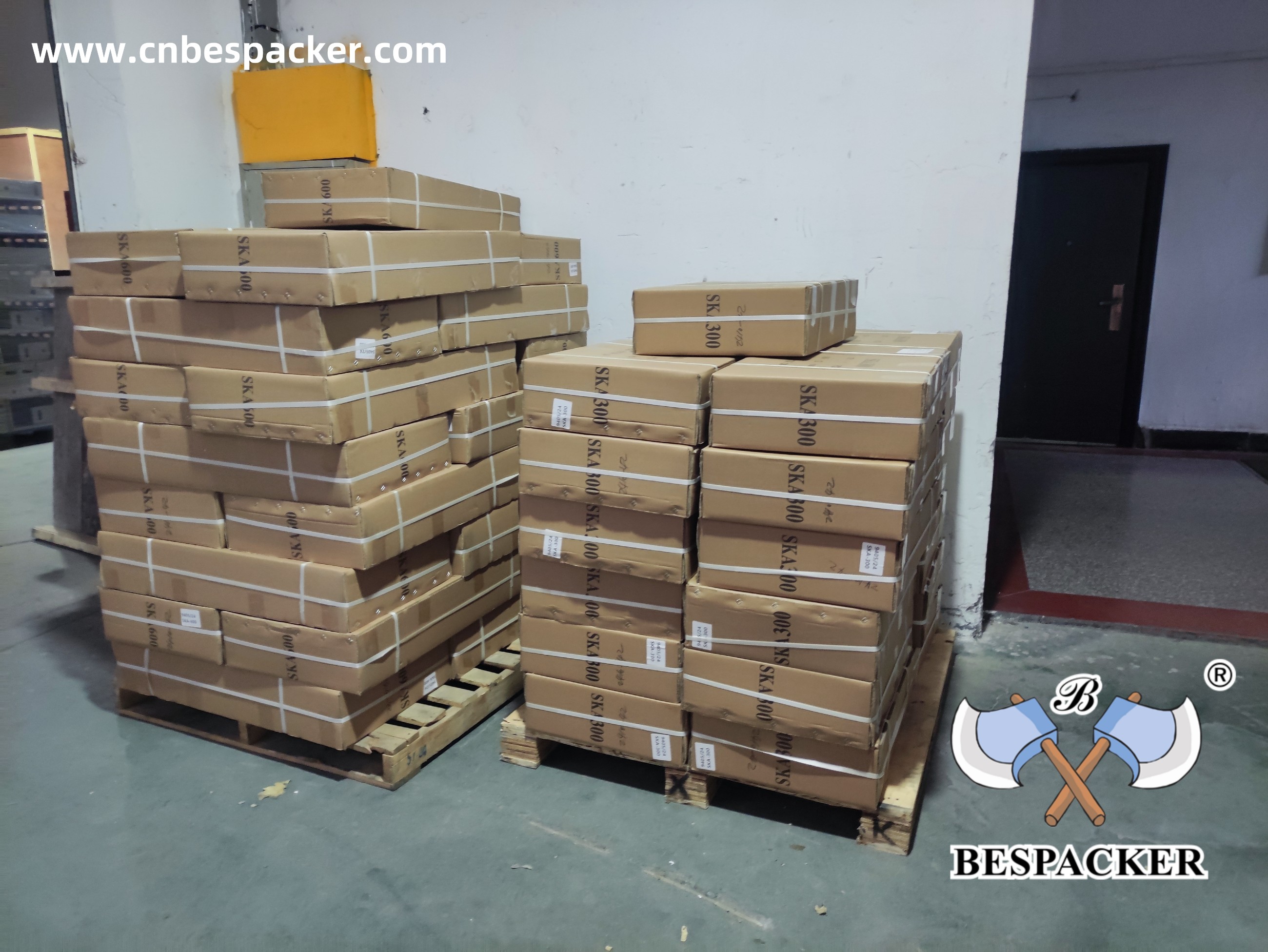 Bespacker Packaging Machinery Equipment Co., Ltd.
