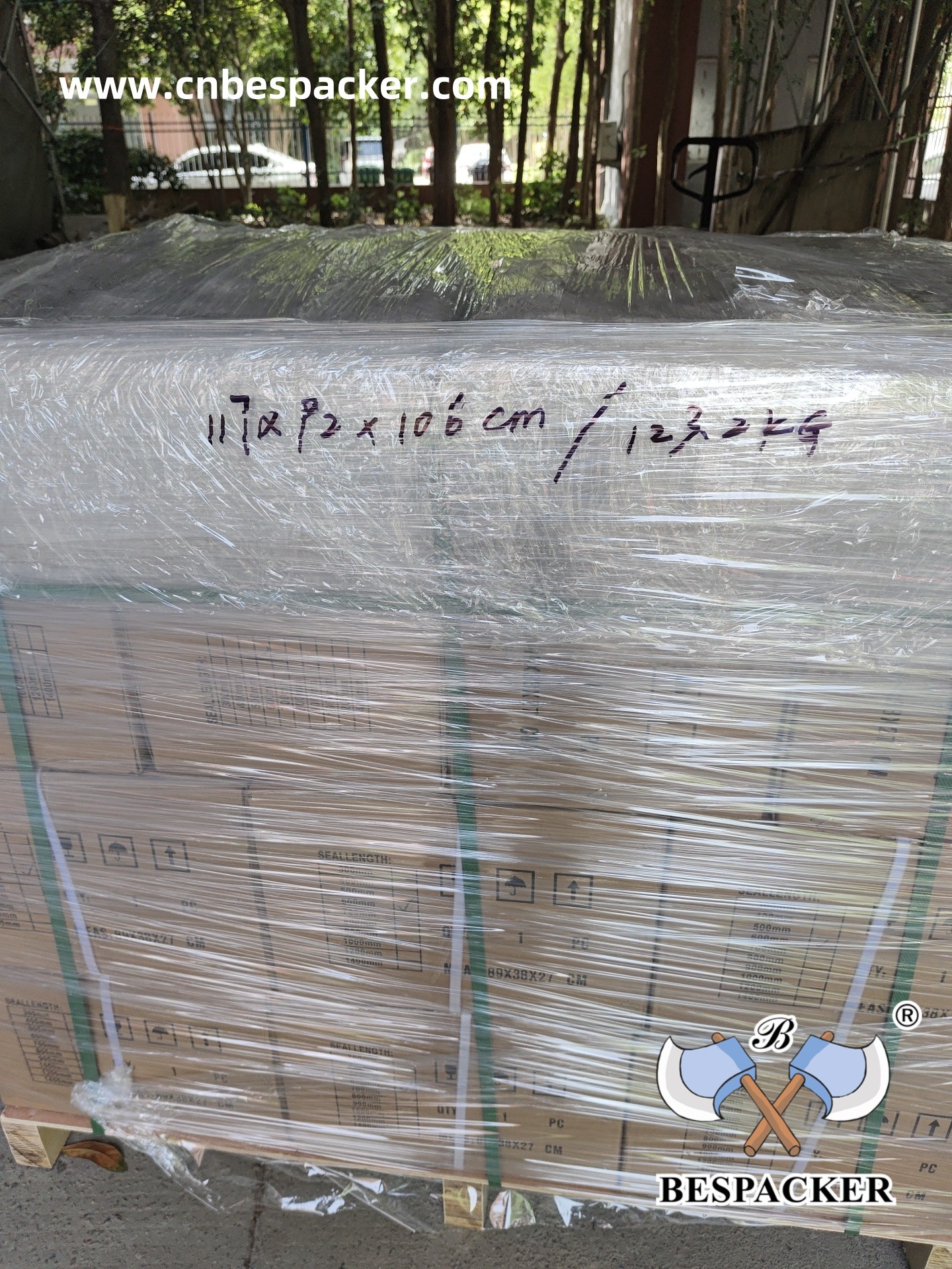 Bespacker Packaging Machinery Equipment Co., Ltd.