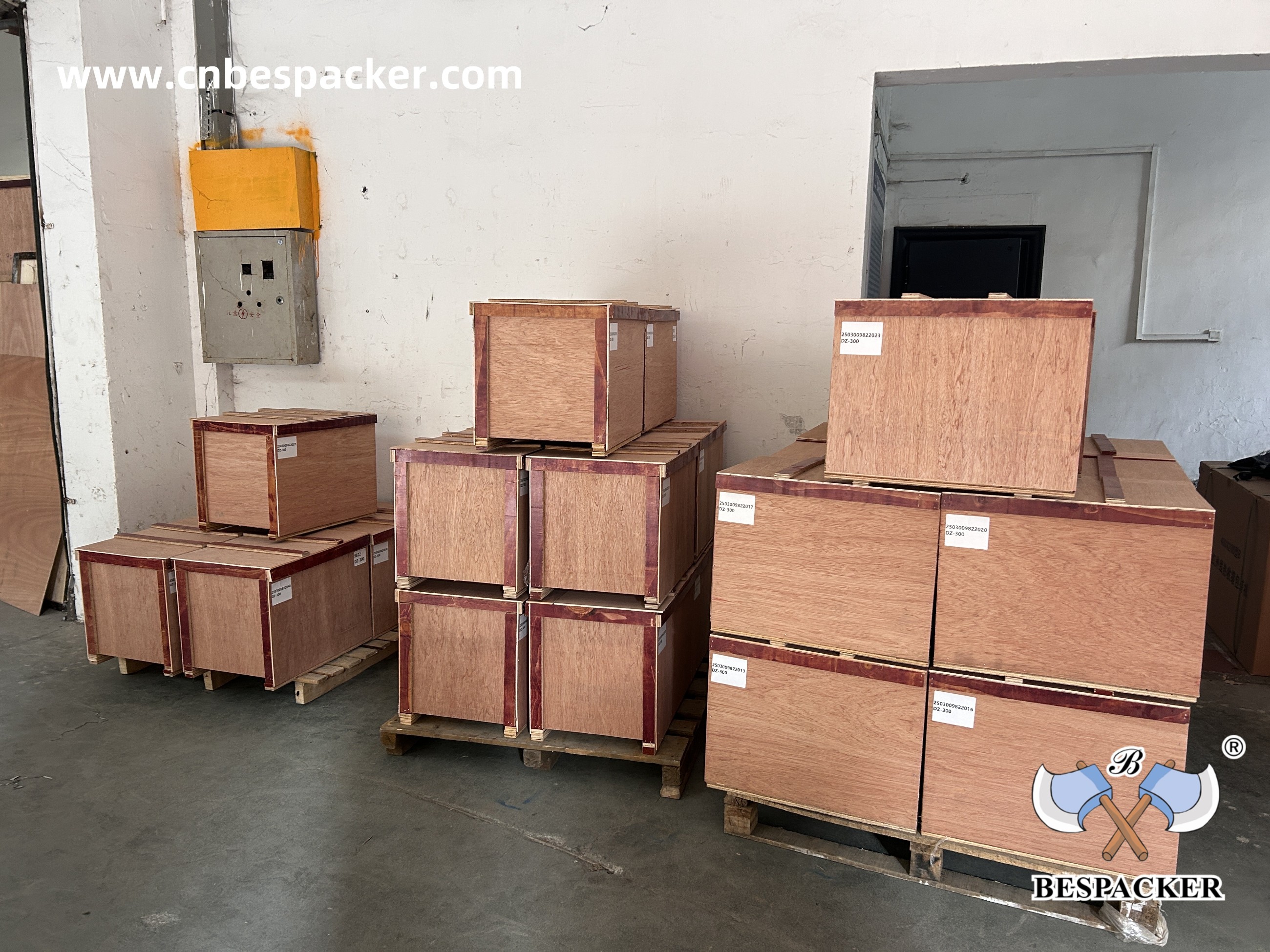 Bespacker Packaging Machinery Equipment Co., Ltd.