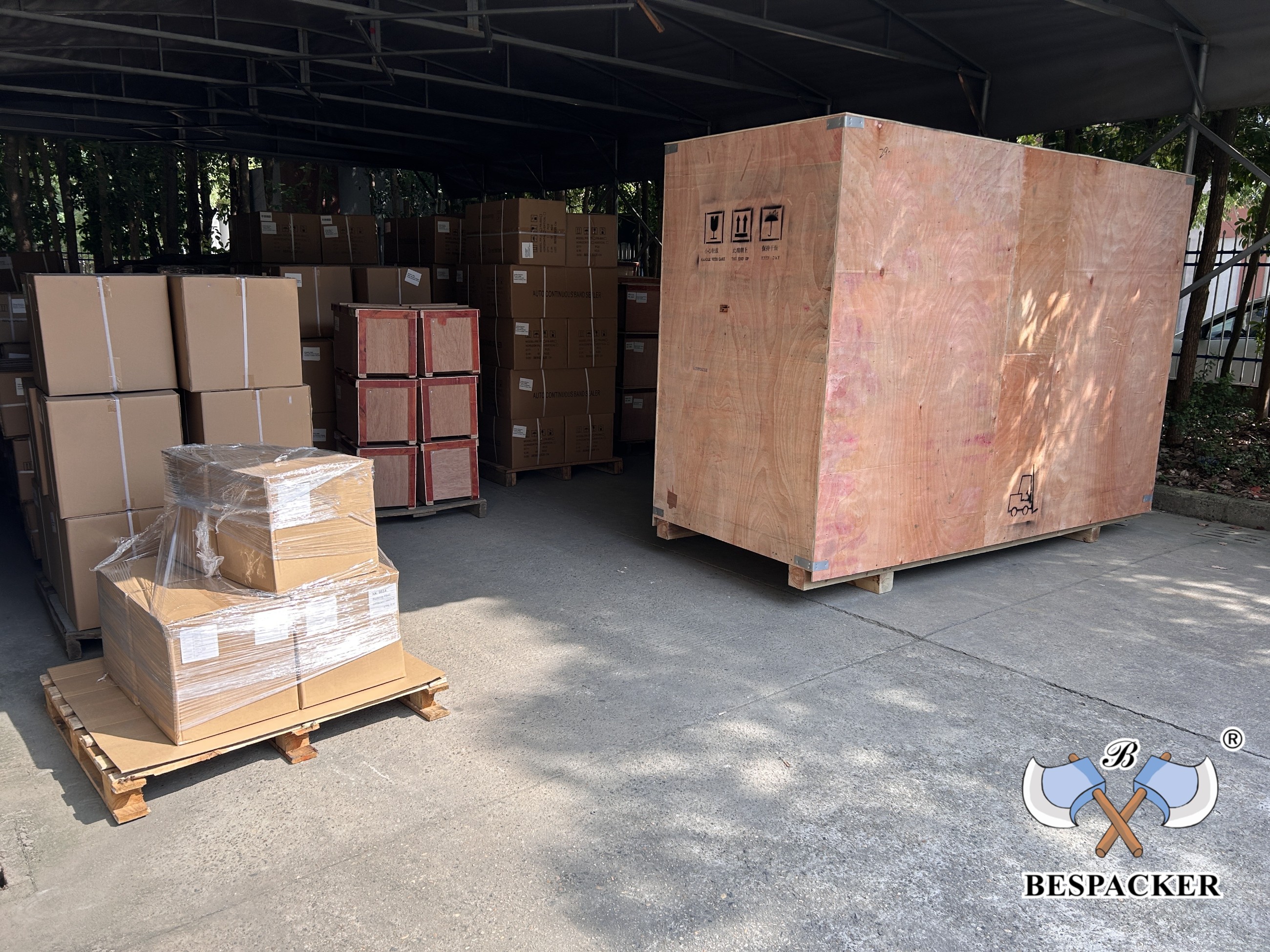 Bespacker Packaging Machinery Equipment Co., Ltd.