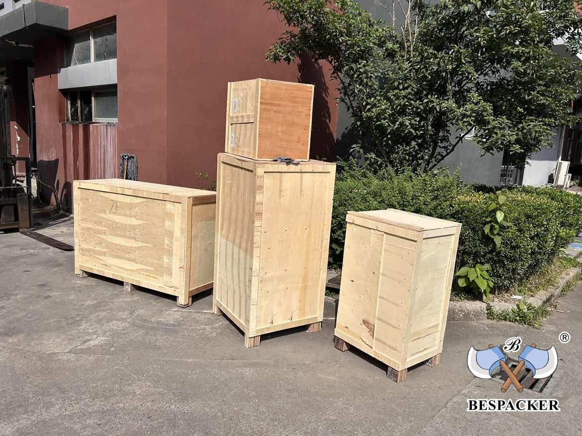 Bespacker Packaging Machinery Equipment Co., Ltd.