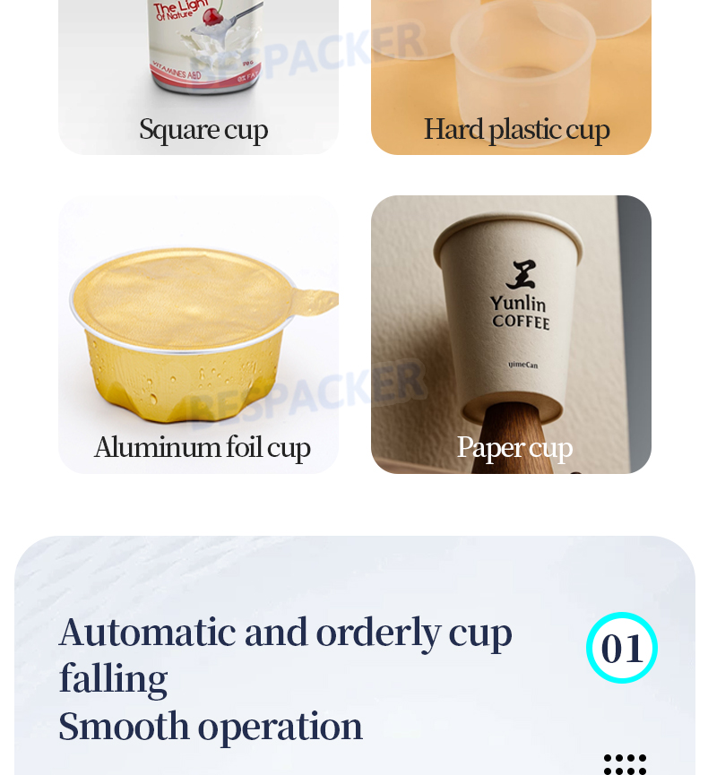 Bespacker Packaging Machinery Equipment Co., Ltd. Bespacker Packaging Machinery Equipment Co., Ltd.