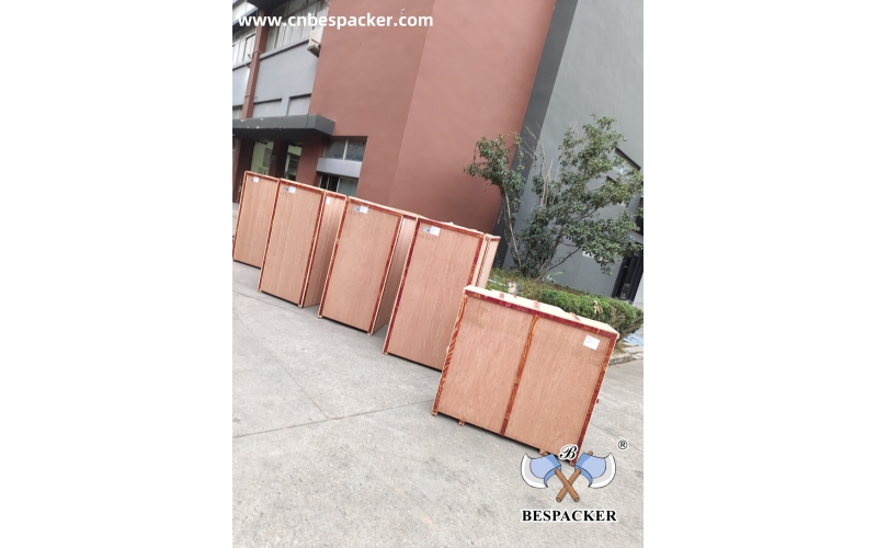 The shipment has been shipped