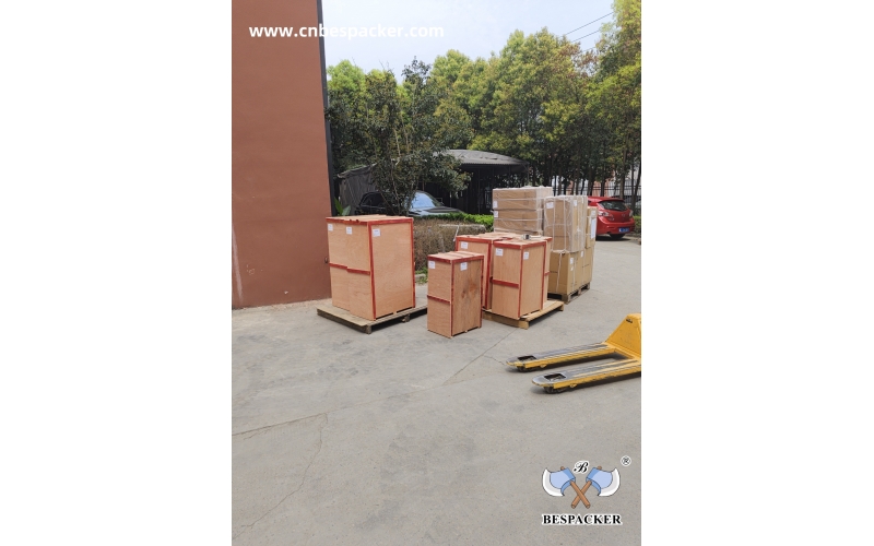 Spring flowers, the delivery to go!